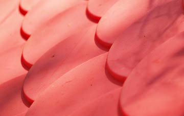 Braytown plastic roof costs