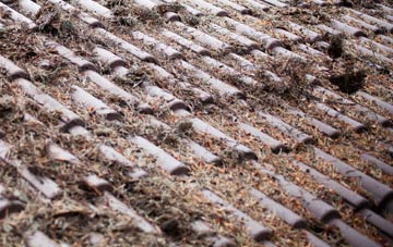 Braytown roof cleaning companies