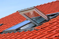 Braytown roof window